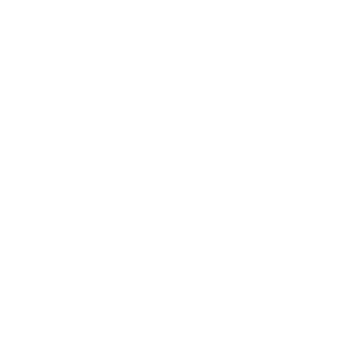 The Doodle Boy