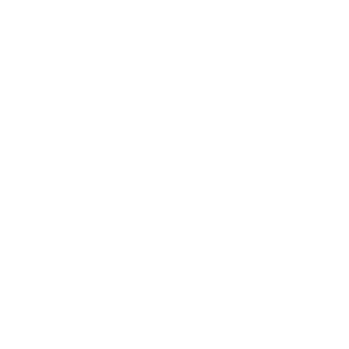 The Doodle Boy